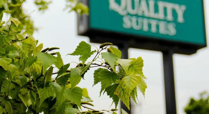 Comfort Suites London Exterior foto